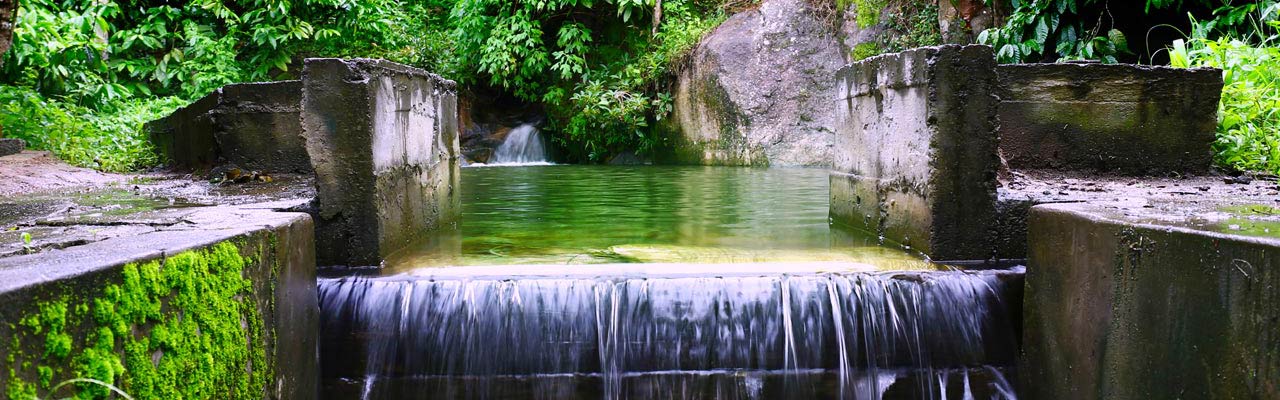 Field View Estate Bungalow Banner